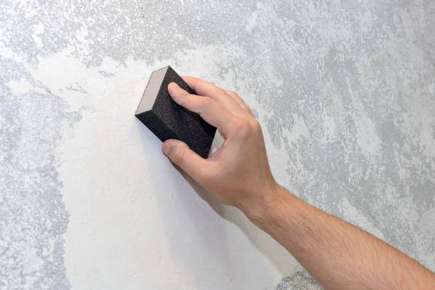 Mold Documentation for Insurance Claims in Trail Creek, IN
