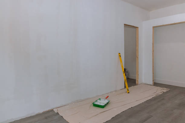 Professional Mold Removal in Trail Creek, IN