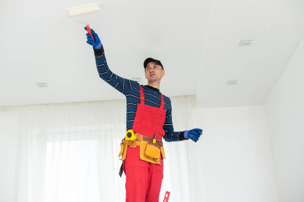  Trail Creek, IN Mold Removal Pros