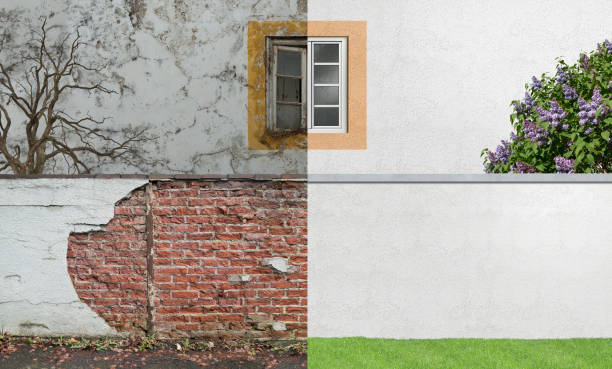 Best Industrial Mold Remediation  in Trail Creek, IN