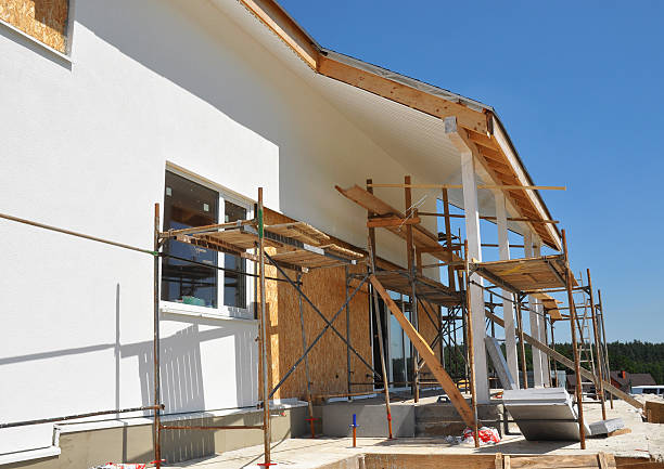 Best Emergency Mold Remediation  in Trail Creek, IN